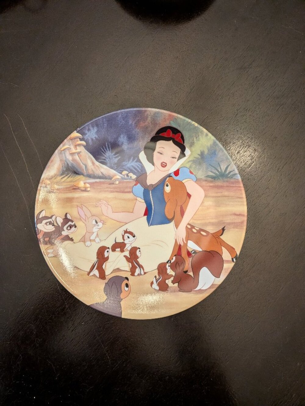 Disney ~ Snow White, With a Smile and a Song